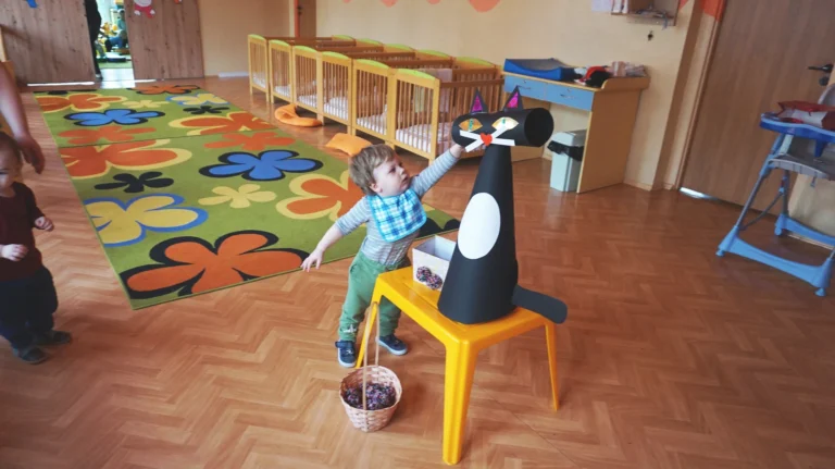 Galeria zdjęć